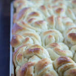 potato rolls ohsweetbasil.com