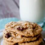 peanut butter chocolate chip cookies