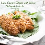 Citrus Lime Crusted Tilapia #healthy #recipe #seafood ohsweetbasil.com-31