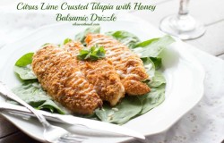 Citrus Lime Crusted Tilapia #healthy #recipe #seafood ohsweetbasil.com-31